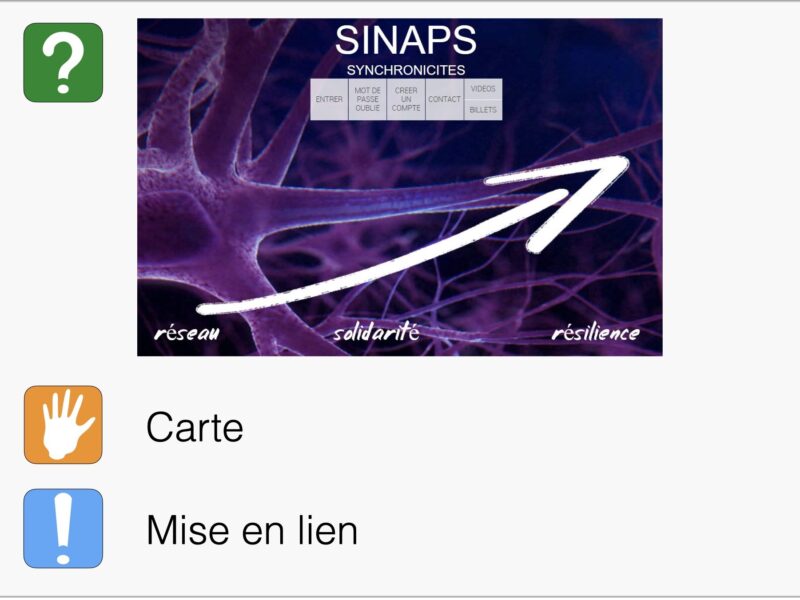 SINAPS (6-Naps)